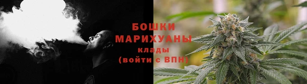 винт Рославль