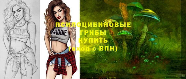 сатива Ростов