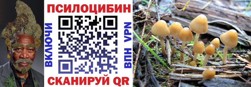 Псилоцибиновые грибы мухоморы  где купить   Кадников 